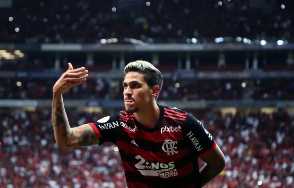 Quantos gol Pedro tem na Carreira?